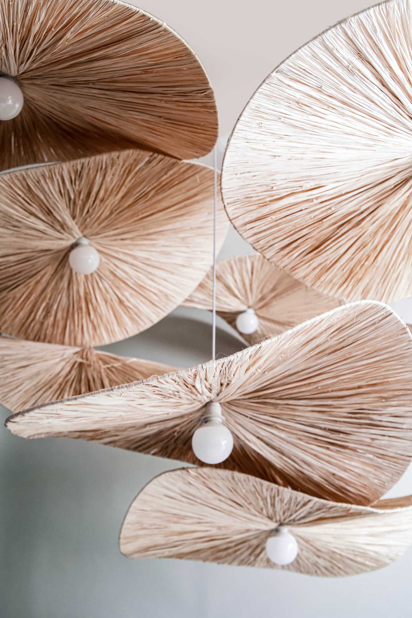 Ceiling Lamp