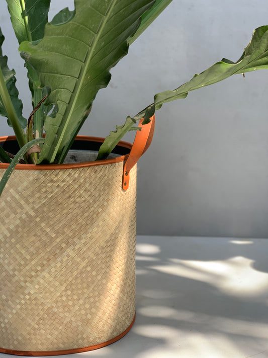 Large Planter Sleeve