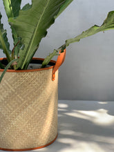 Load image into Gallery viewer, Large Planter Sleeve
